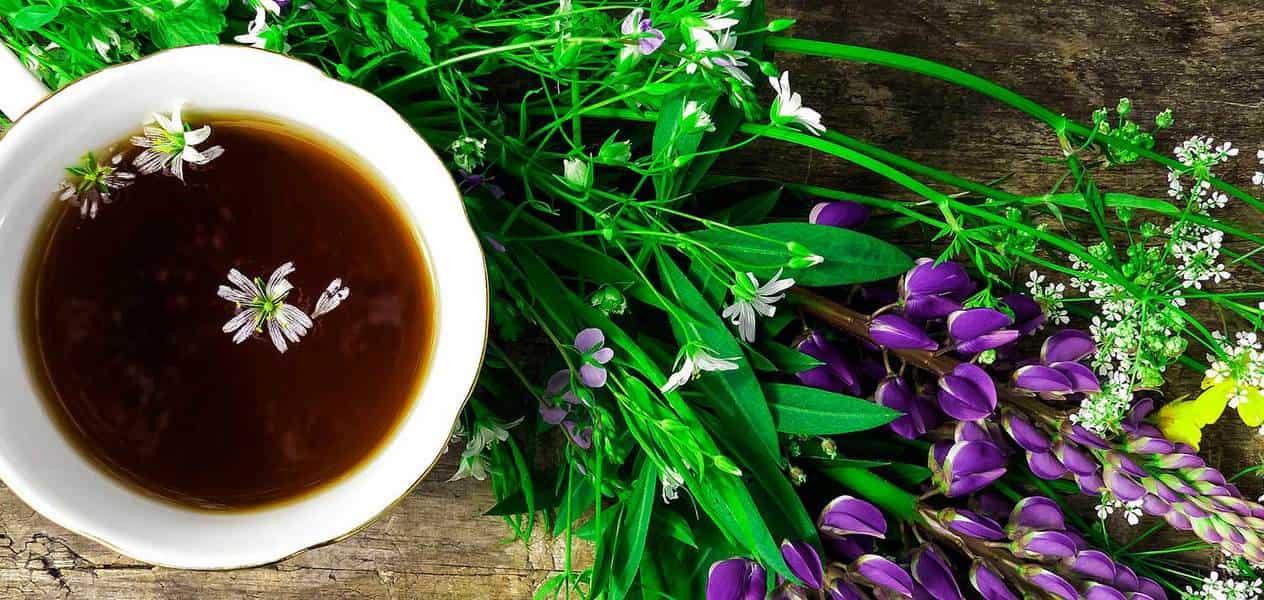 Estas son las propiedades del té negro beneficiosas para tu salud