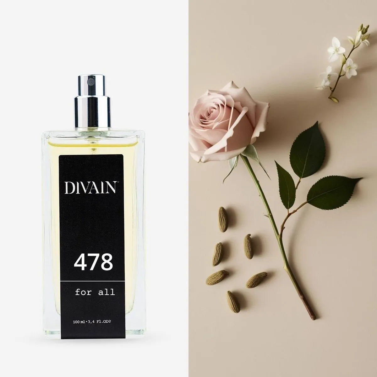 divain.478