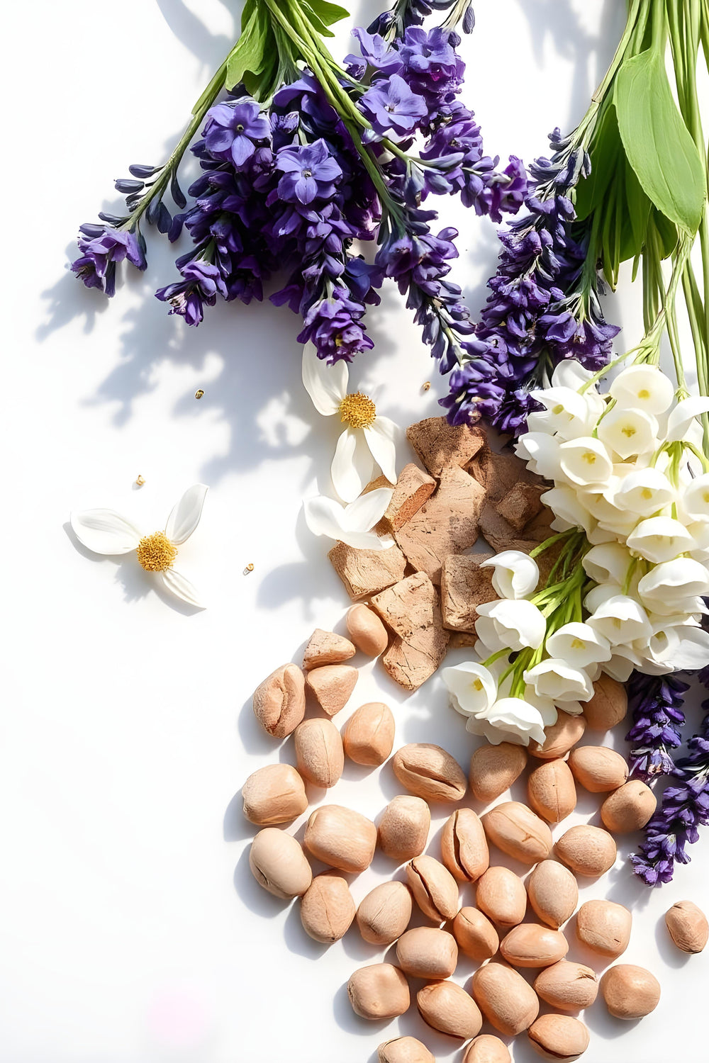 Lavanda, haba tonka y hojas de violeta representando las notas olfativas del perfume.