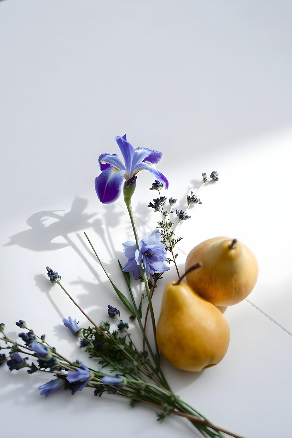 Pera y lavanda representando las notas olfativas del perfume.