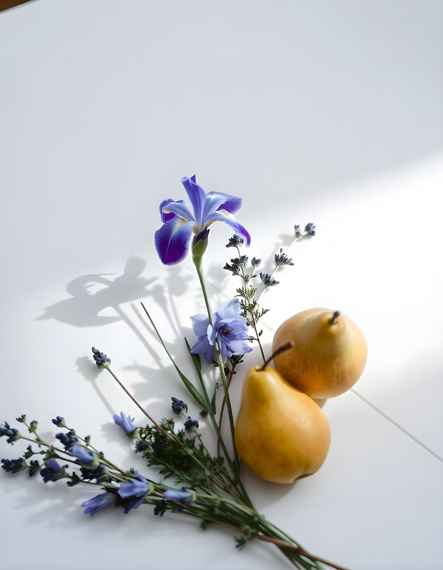 Pera y lavanda representando las notas olfativas del perfume.