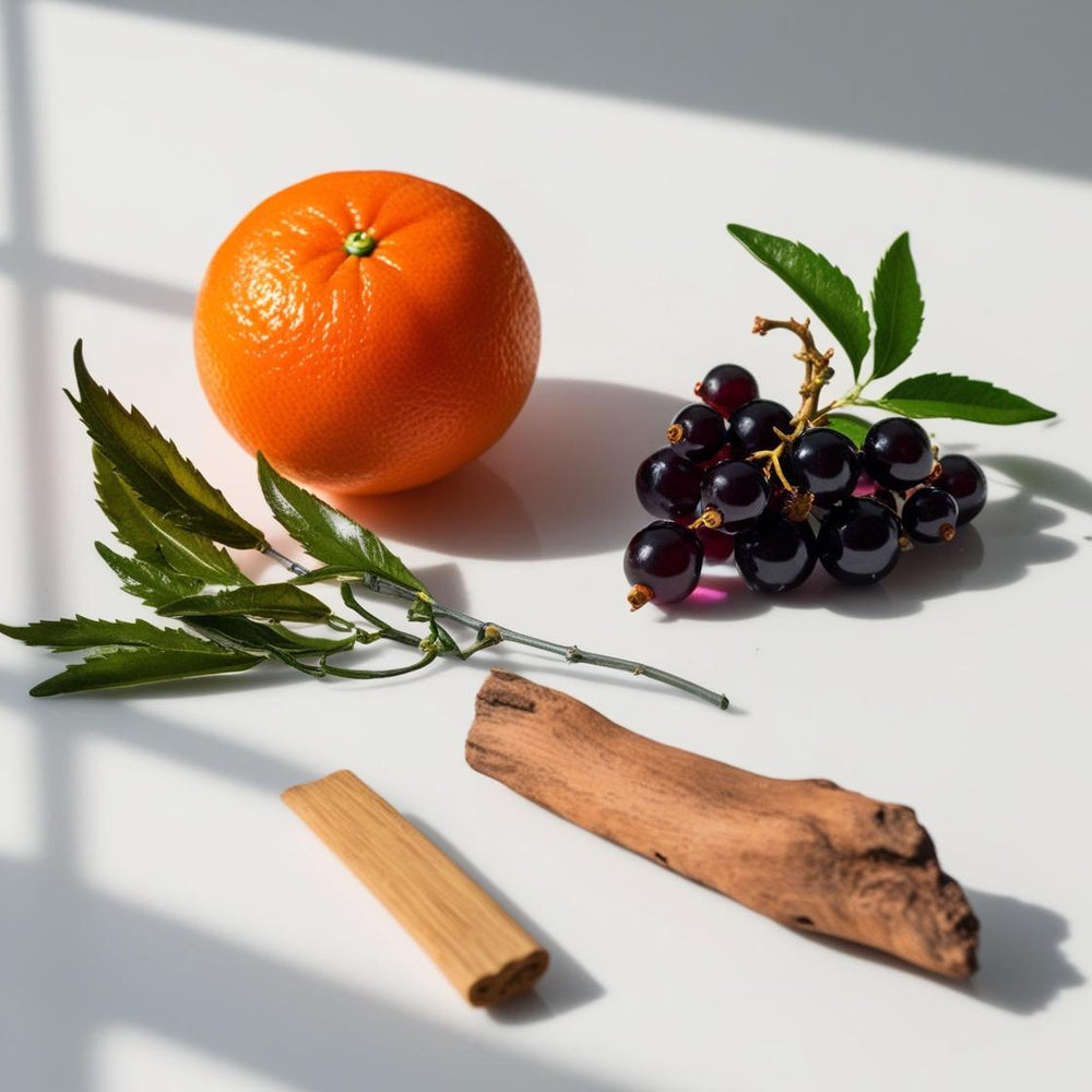 Mandarina, té verde y grosellas negras representando las notas olfativas del perfume.